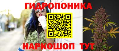 таблы Тара