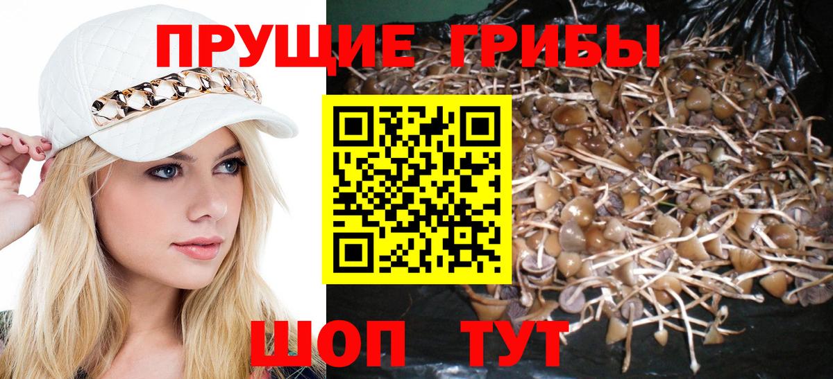 Галлюциногенные грибы MAGIC MUSHROOMS Баксан